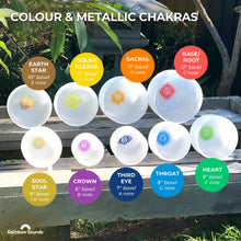 Load image into Gallery viewer, Set of 9 White Sound Therapy Bowls in Beige Carry-On Cases