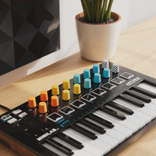 Load image into Gallery viewer, 4-Pack The OG Knob