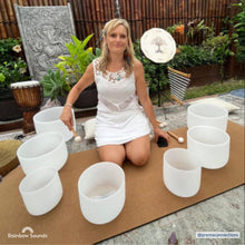 Load image into Gallery viewer, Set of 7 White Sound Therapy Bowls in Beige Carry-On Cases