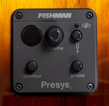 Load image into Gallery viewer, Breedlove PURSUIT EXOTIC S CONCERT TIGER’S EYE CE Acoustic Electric Guitar