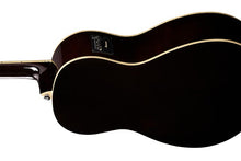 Load image into Gallery viewer, Ibanez PN12EVMS Parlor Acoustic Electric Guitar