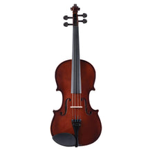 Load image into Gallery viewer, Palatino Violin with bow and case, 4/4 full size VN-350