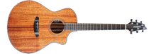 Load image into Gallery viewer, Breedlove Wildwood Concert Satin CE Acoustic Electric Guitar