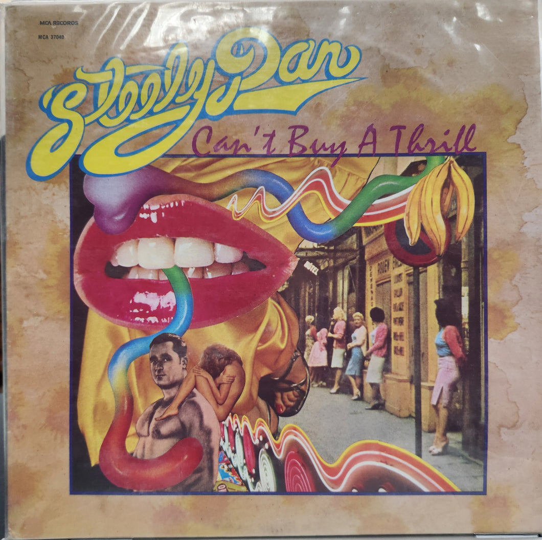 Steely Dan Can't Buy a Thrill Vinyl LP - USED