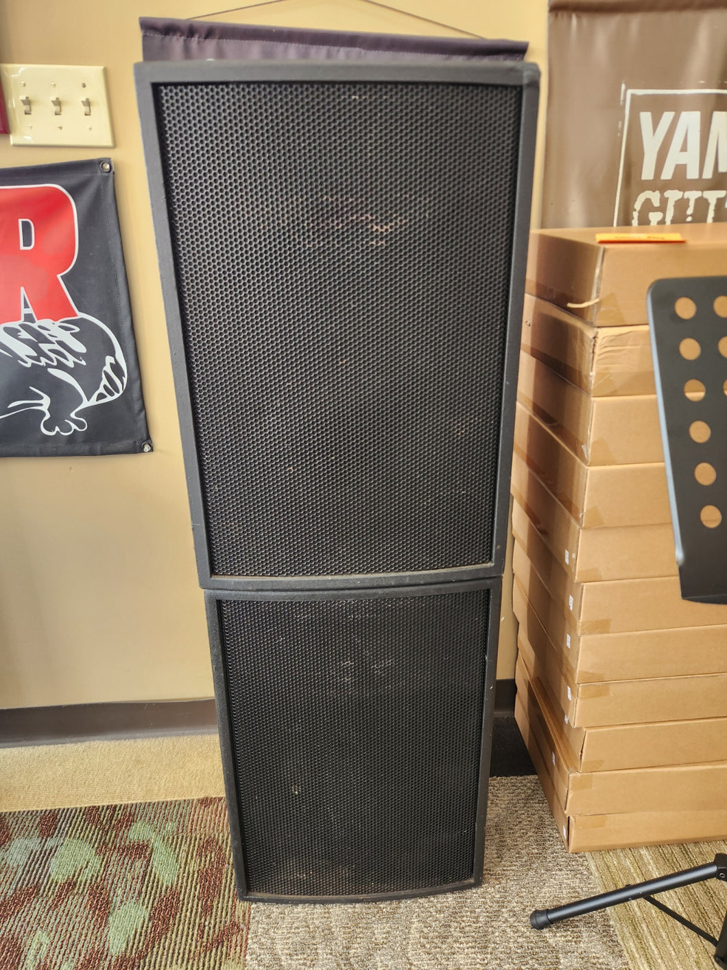 EV SXA250 Powered Speakers - Pair - USED