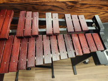 Load image into Gallery viewer, Stagg Xylophone with Stand and Gig Bag - USED

