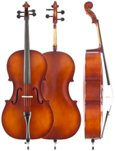 Load image into Gallery viewer, Amati Model #80 4/4 Cello Outfit

