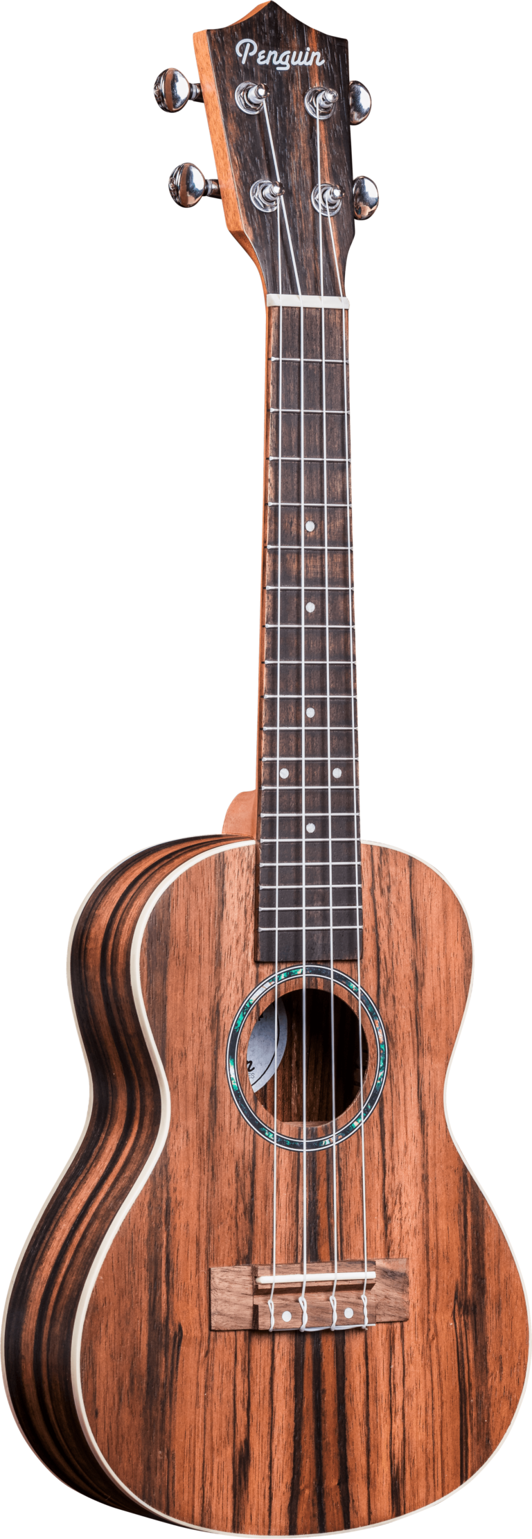 Penguin Classic Ebony Ukulele PGUK990C, Concert Size