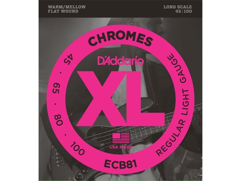 D'Addario ECB81S Chromes 45-100 Flatwound Bass Guitar Strings