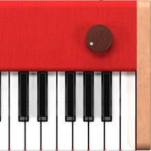 Load image into Gallery viewer, loog piano (Collective)
