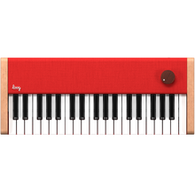 Load image into Gallery viewer, loog piano (Collective)
