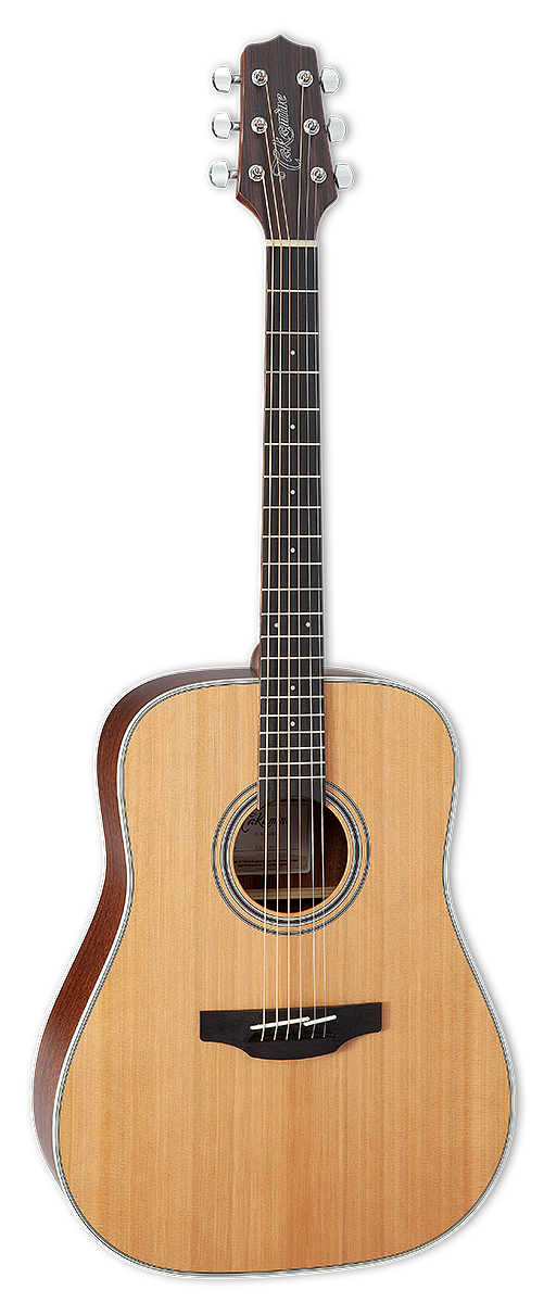 Takamine TAKGD20NS Acoustic Guitar