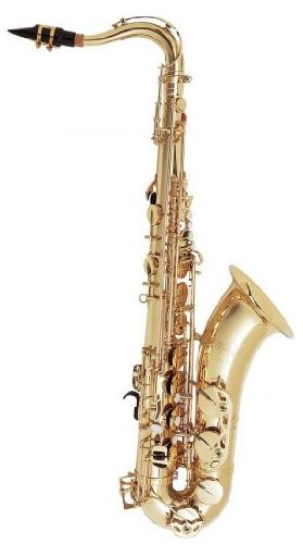 Selmer TS600 Student Model Tenor Saxophone